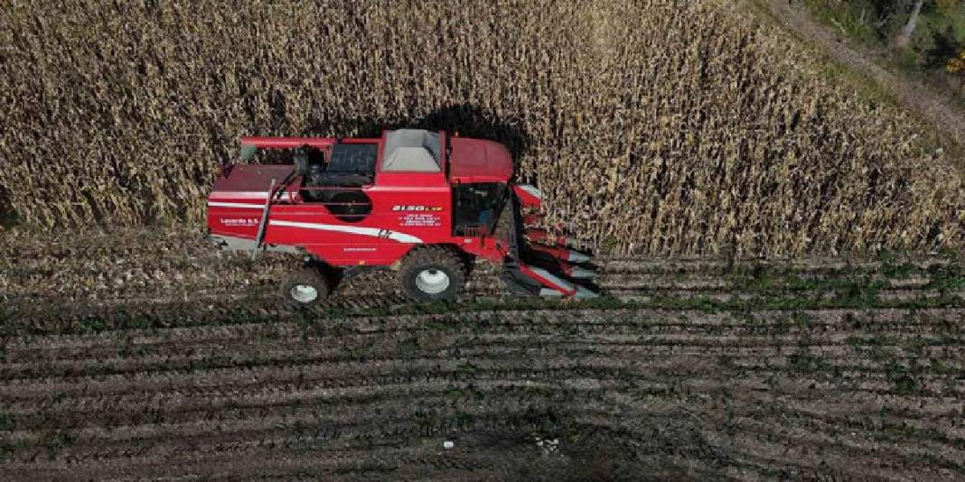 2025’in ilk hasadı başladı, kuraklık burayı da vurdu! Verimdeki düşüş, fiyatları da etkiledi 2